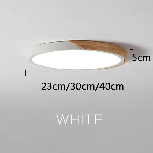 JianJian Ultra Thin LED Flush Mount Light - Lumen Attic