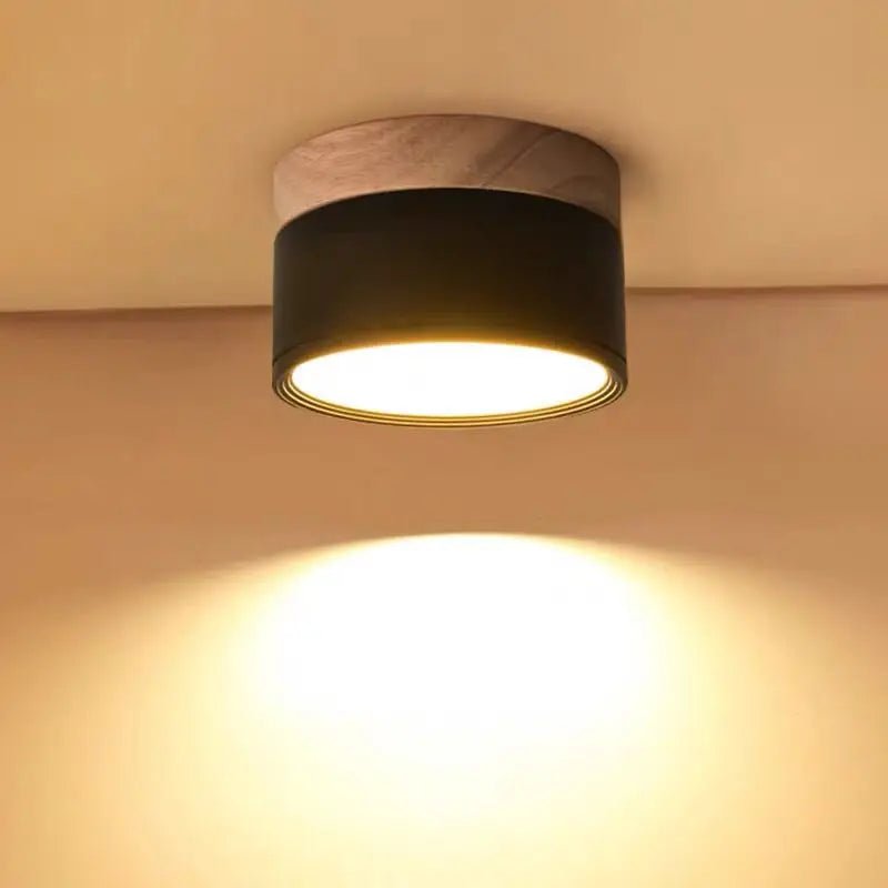 ROAN Modern Surface Mounted LED Spot Light - Lumen Attic